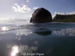 Cetti Bay Guam. Snorkeling around. by Angel Piper 